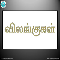 பாடங்கள்